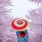 Why Japan’s Hidden Villages Are 2025’s Top Destination Why Japan’s Hidden Villages Are 2025’s Top Destination