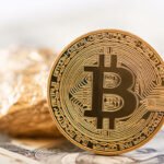 The Pros and Cons of Switching to a Fully Digital Payment Wallet The Pros and Cons of Switching to a Fully Digital Payment Wallet