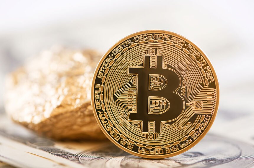 The Pros and Cons of Switching to a Fully Digital Payment Wallet The Pros and Cons of Switching to a Fully Digital Payment Wallet